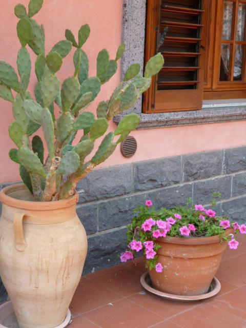 B&B Villa Papale Gravina di Catania Esterno foto