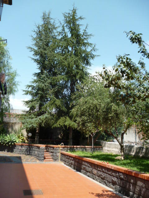 B&B Villa Papale Gravina di Catania Esterno foto